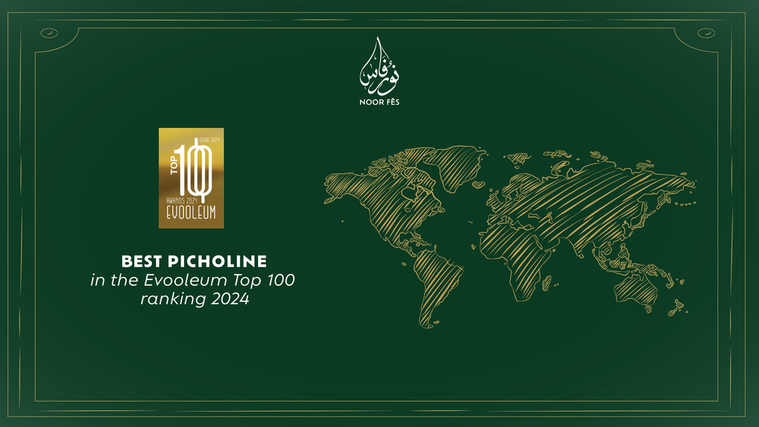 Noor Fès élue meilleure Picholine au monde au concours espagnol EVOOLEUM 2024 !